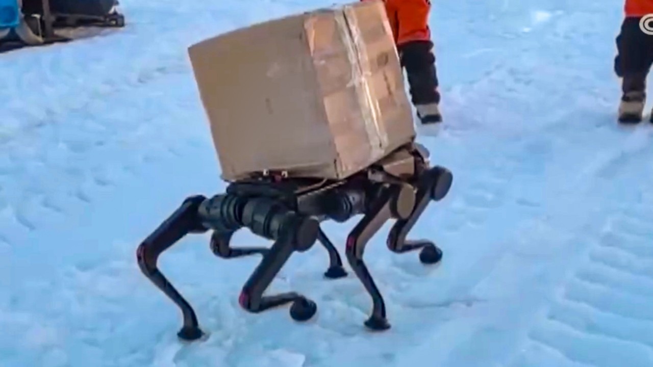 China’s Antarctic mission gets helping paw from robot dog