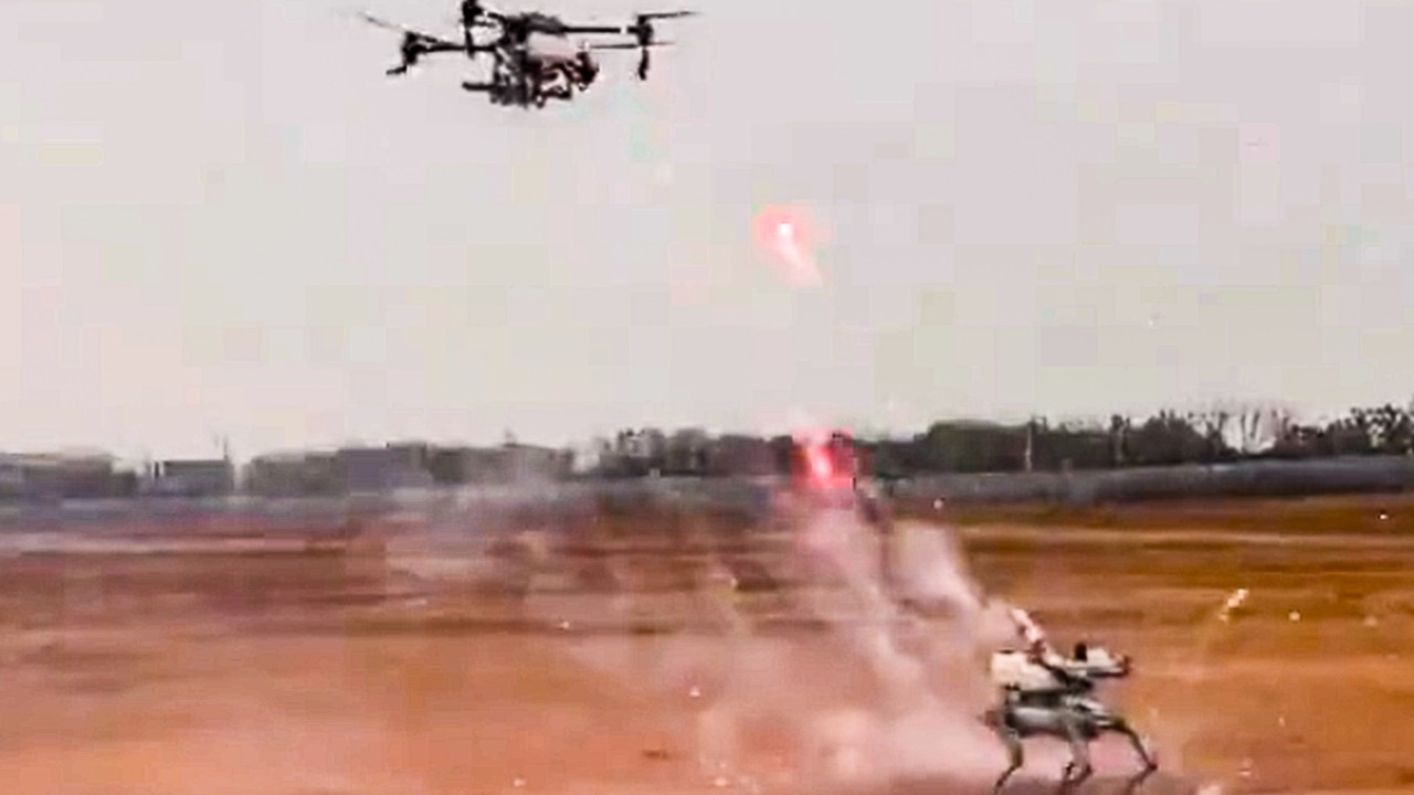 Drone meets robotic dog: China’s social media erupts in fireworks