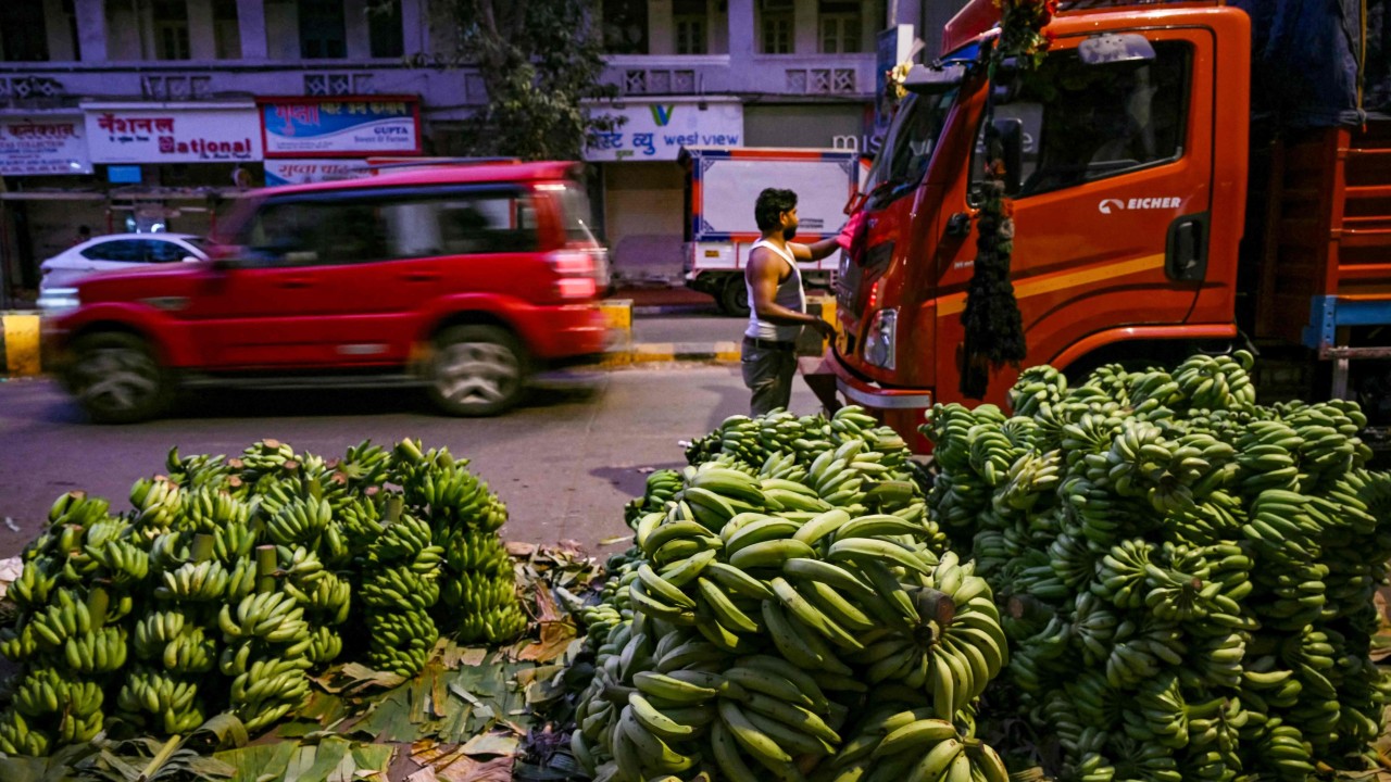 India could tackle economic slowdown, US tariff threat in annual budget