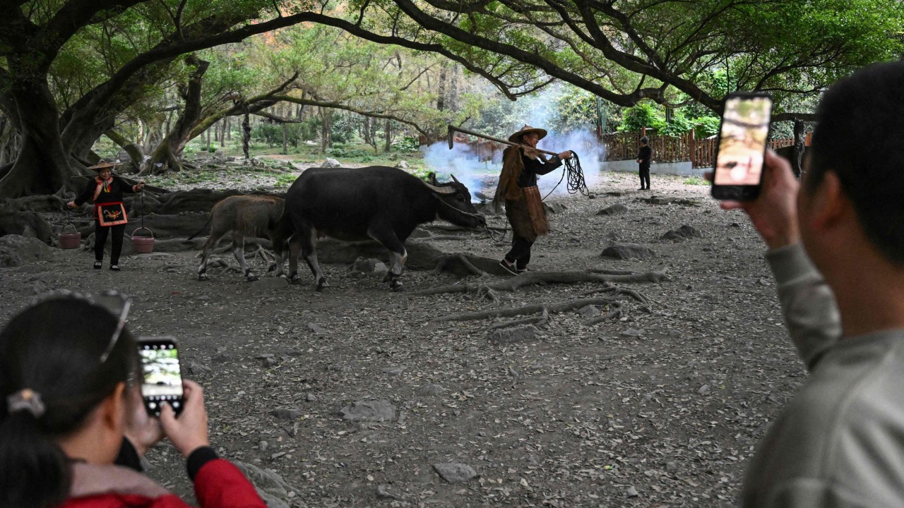 Chinese villagers go viral with set-up country scenes, charge tourists to take photos