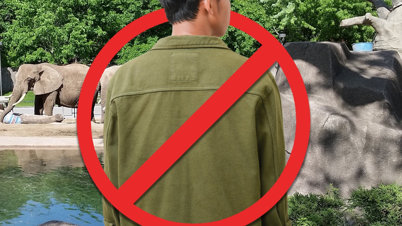 Japan zoo bans solo male visitors to prevent flirtation, citing family and couple discomfort