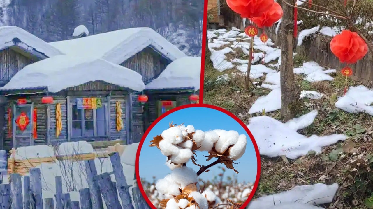 China scenic site panned for using cotton, soapy water as snow due to lack of winter weather