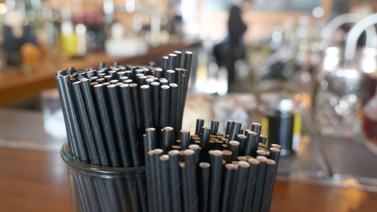 South Korea to reconsider using paper straws as global shift back to plastic gains momentum