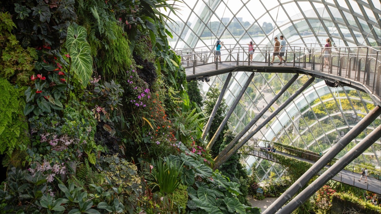 Discover Singapore, its nature, the Raffles, bike routes and Pulau Ubin