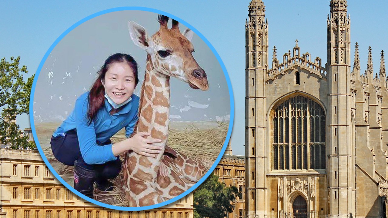 Chinese woman with Cambridge master’s degree declines biotech job to become zookeeper