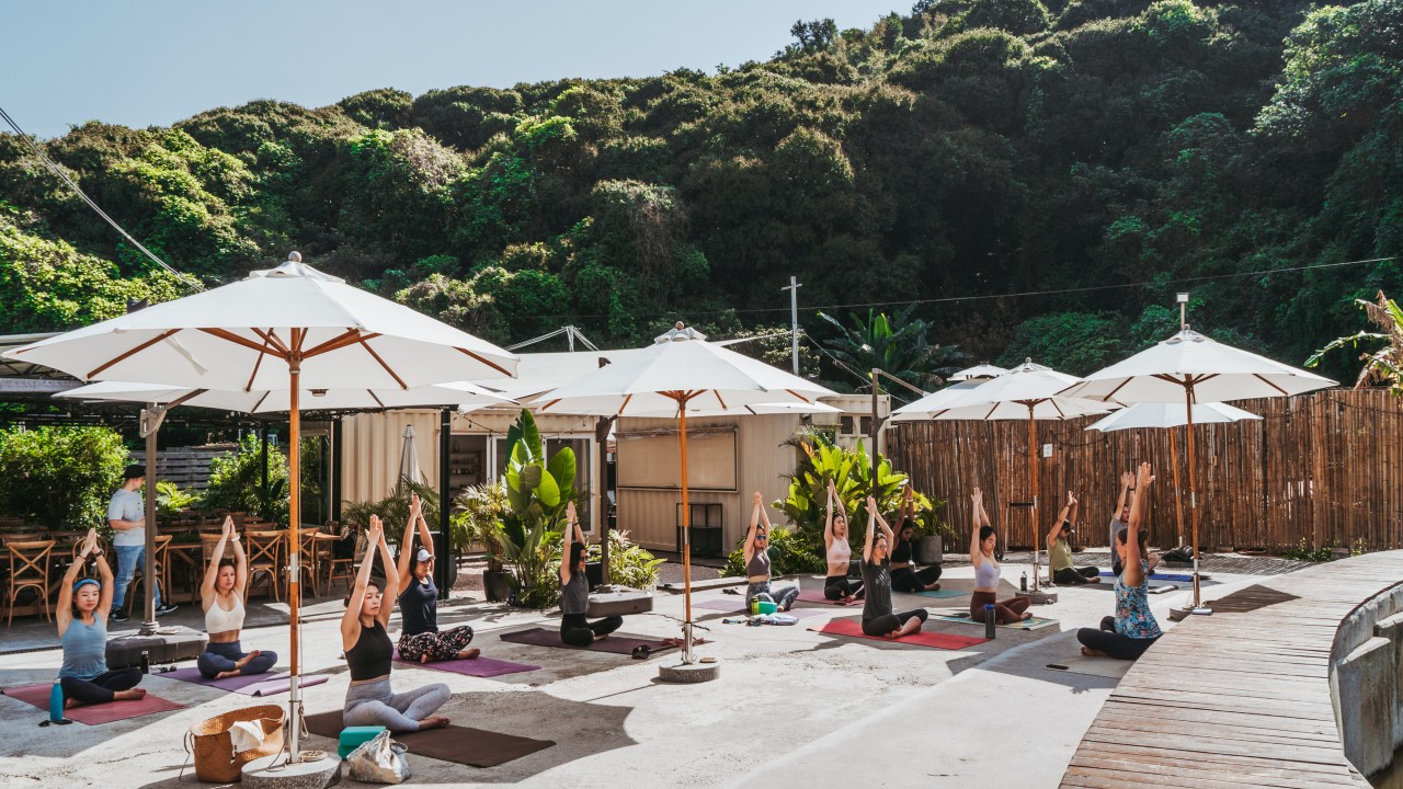 6 ways to get back to nature and find calm in busy Hong Kong