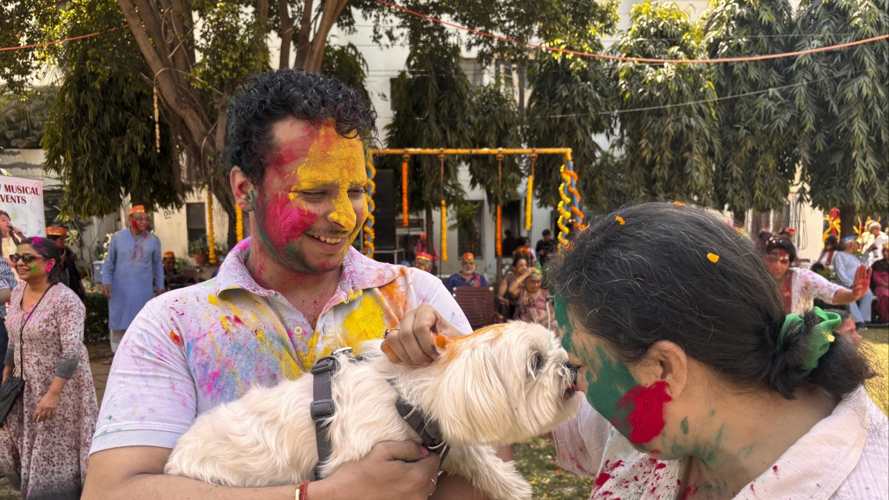 Man’s best friend celebrates Holi, the festival of colours