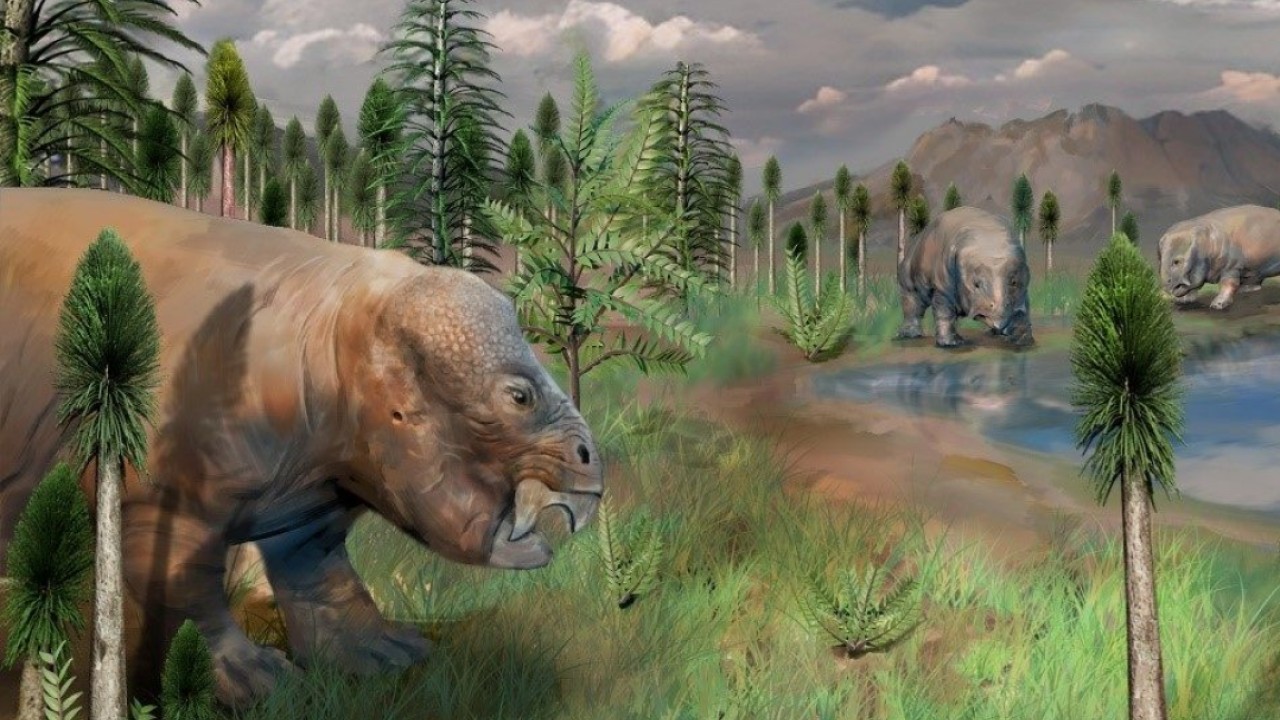 Chinese basin may have been a refuge during largest mass extinction. Do we need another?