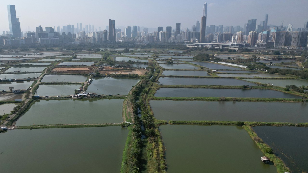 Hong Kong’s New Town project could threaten 29 bird species, green groups say