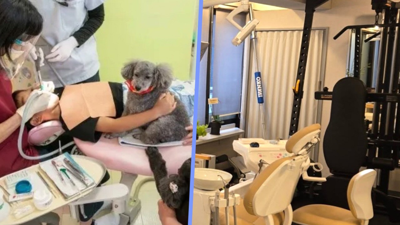 Japanese dental clinics offer dog companions, on-site gym to boost declining business