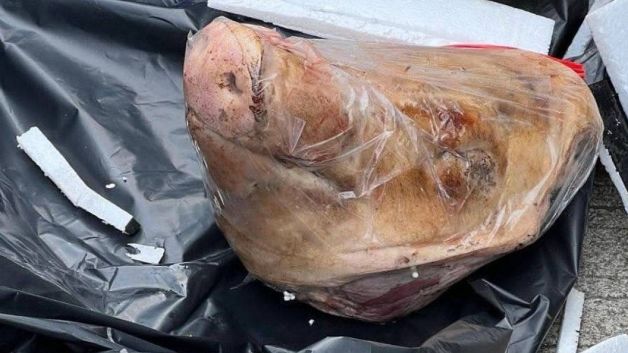 Indonesian reporter receives pig’s head in incident condemned as ‘terror attack’