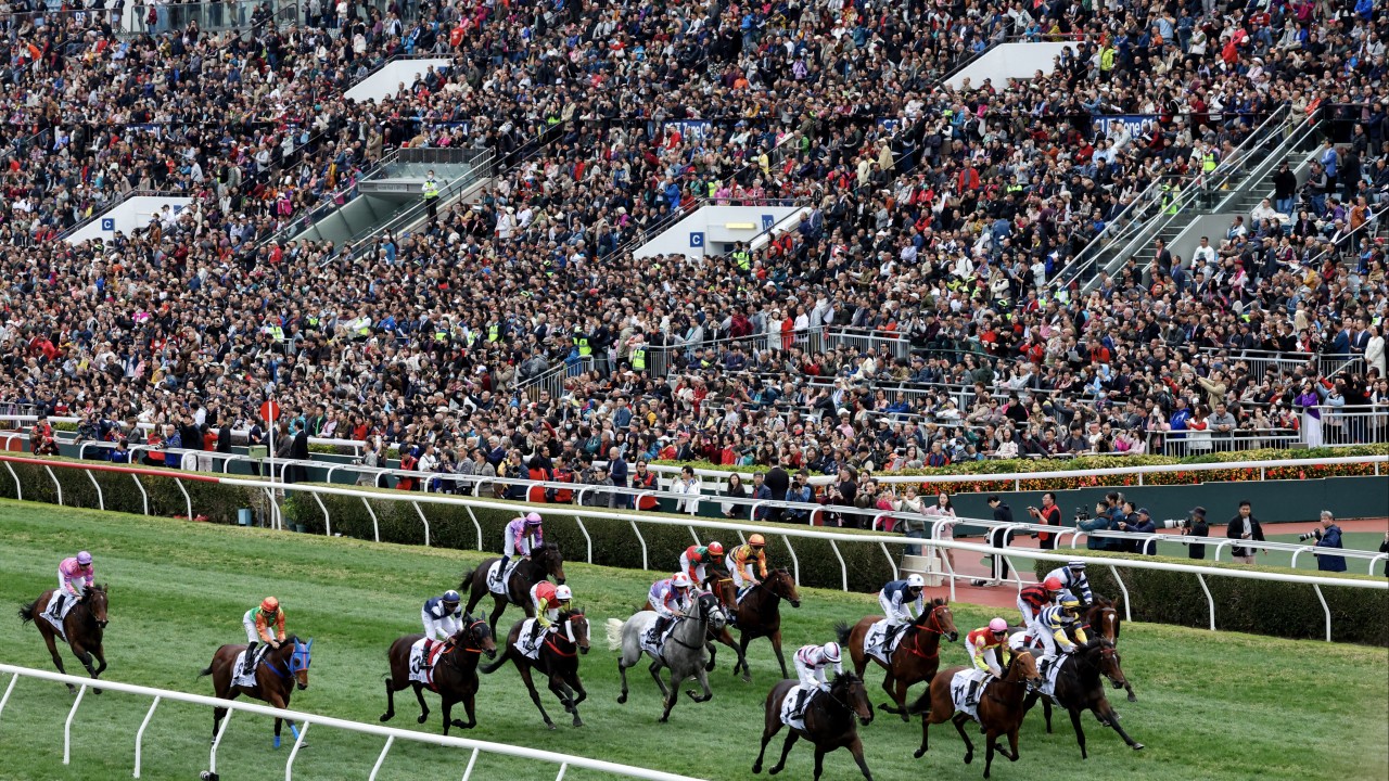 Hong Kong backing horse racing to spur high-end tourism spending, minister says