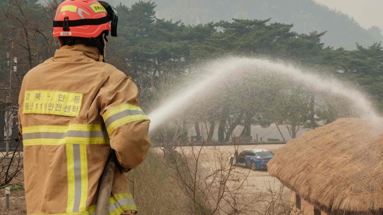 In South Korea, the elderly risk their lives fighting wildfires for US$50 a day