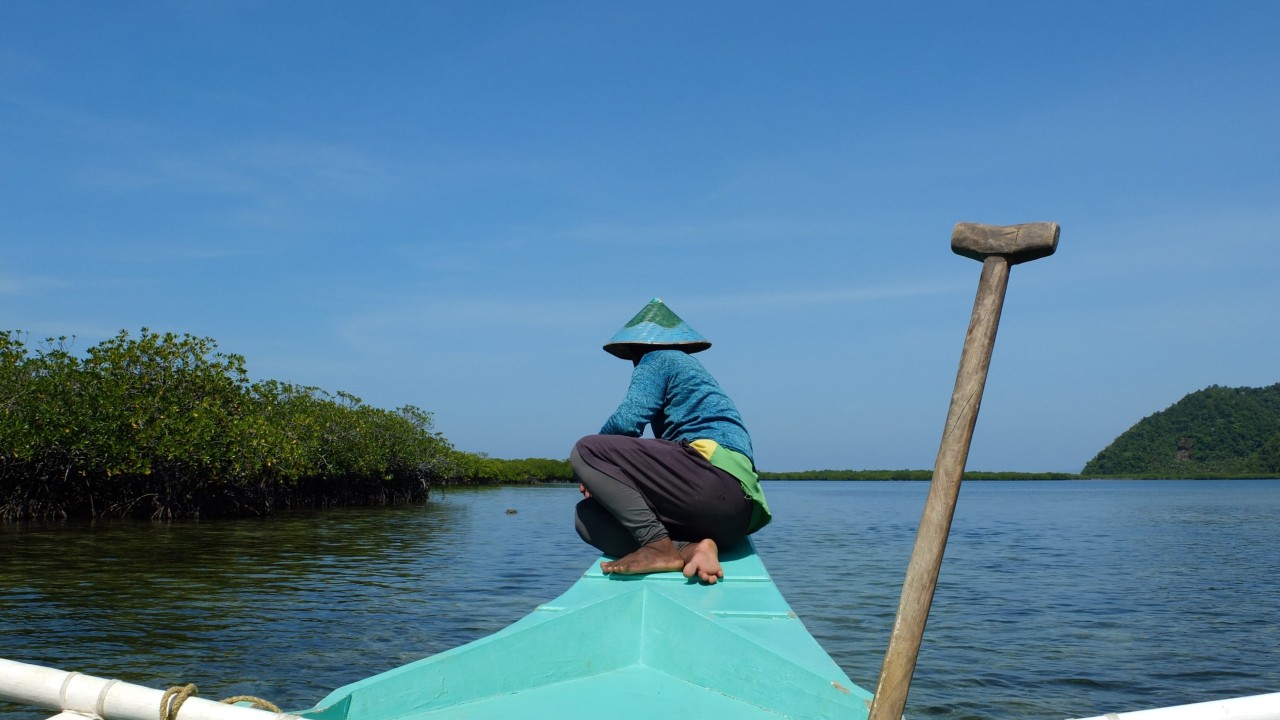 In Siargao, Philippines, illegal fishermen turn ecotourism operators and revive mangroves