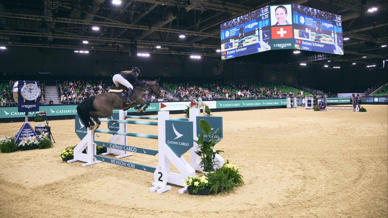 65 horses head to Hong Kong: a glimpse into the logistics of transporting valuable animals