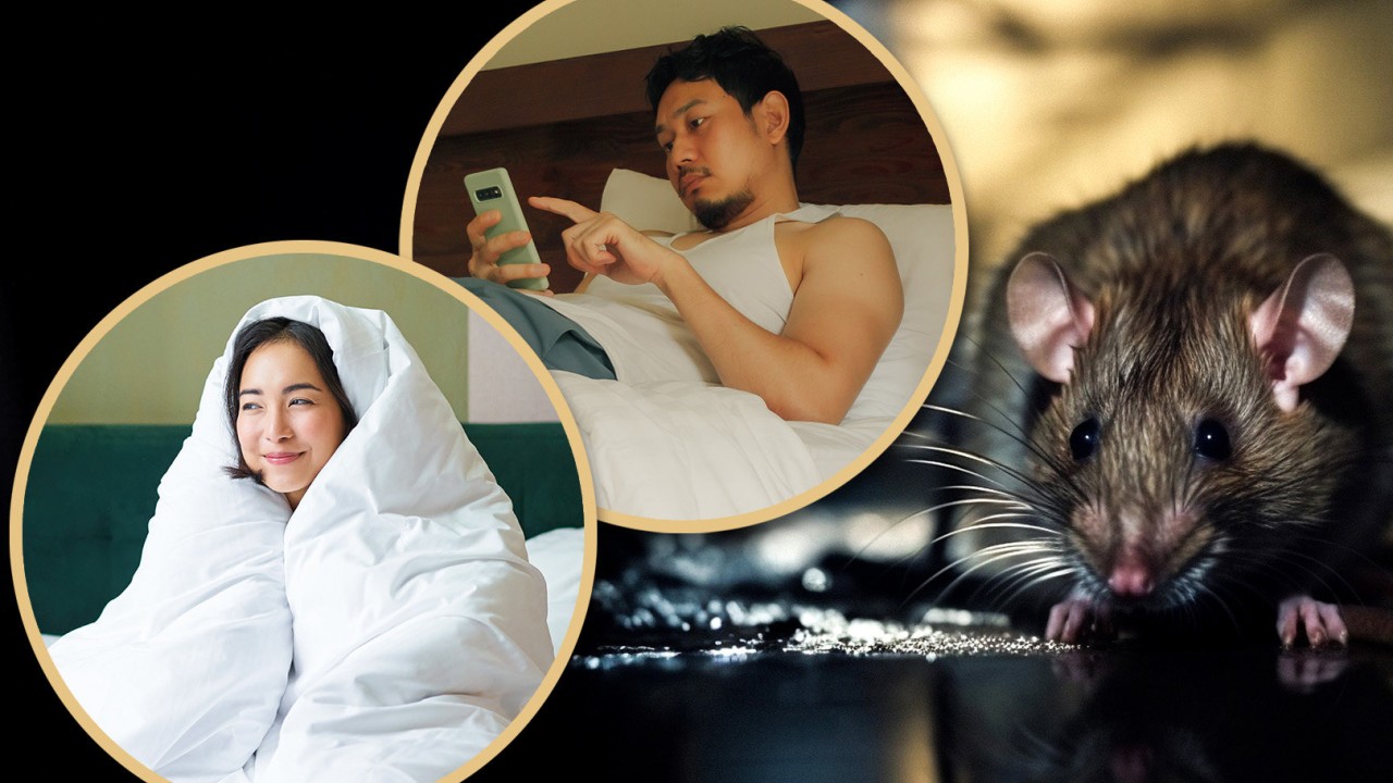 China slang term ‘rat people’ for those who shun success, attracts 2 billion views
