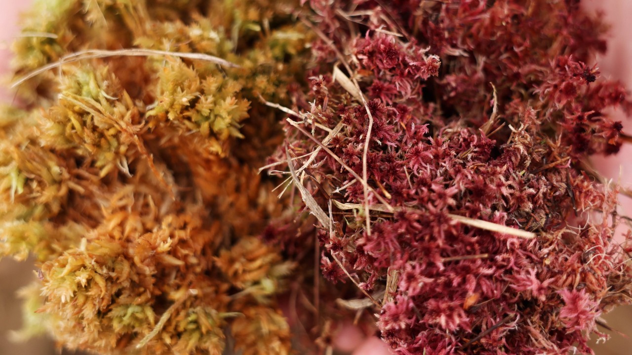 China’s innovative solution to tackling toxic and damaging oil spills: ‘urgent priority’