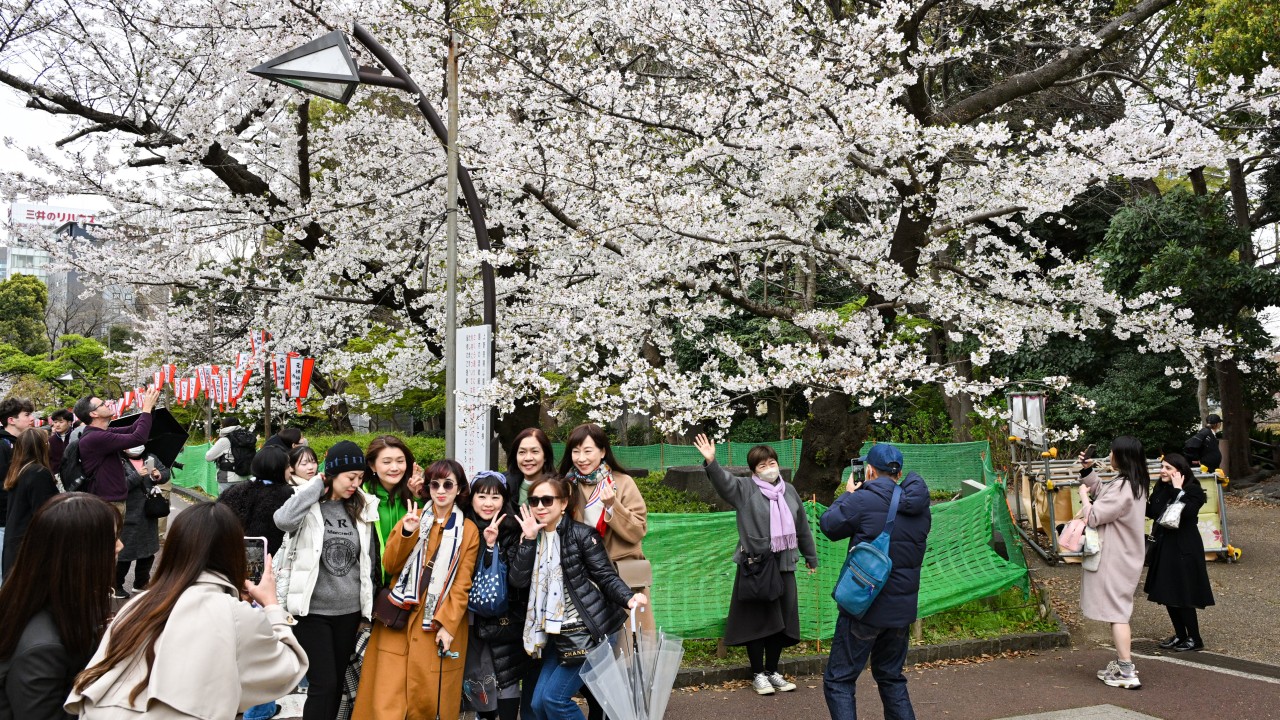 Fewer benefits on most travel insurance plans for seniors, kids: Hong Kong watchdog
