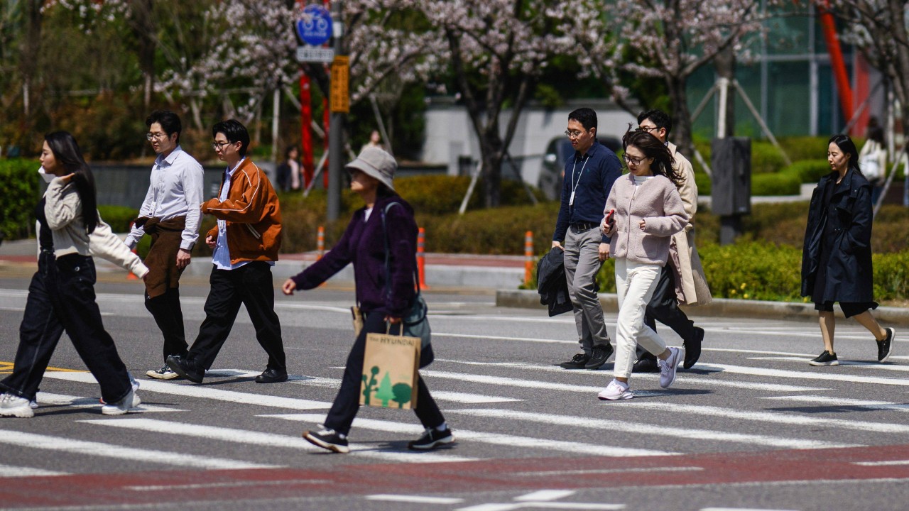 Selling comfort: ‘loneliness economy’ emerges as more South Koreans live alone