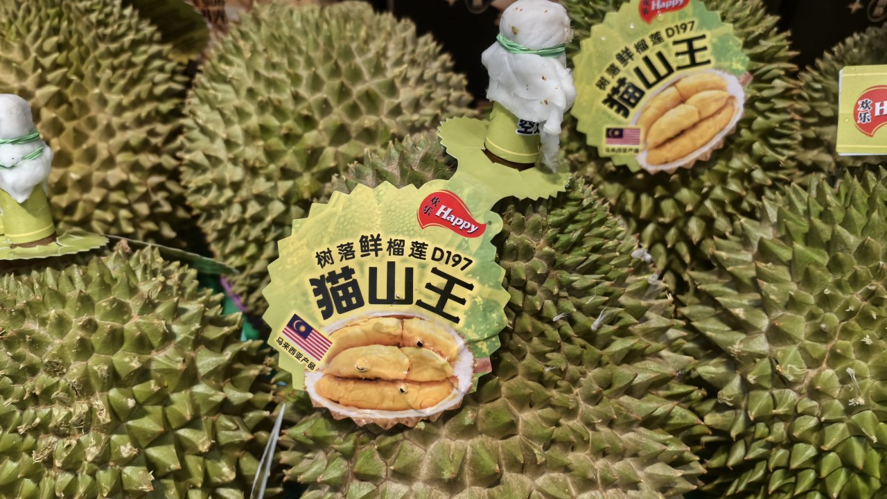 Malaysian durian sales surge in China amid growing demand for naturally ripened fruit
