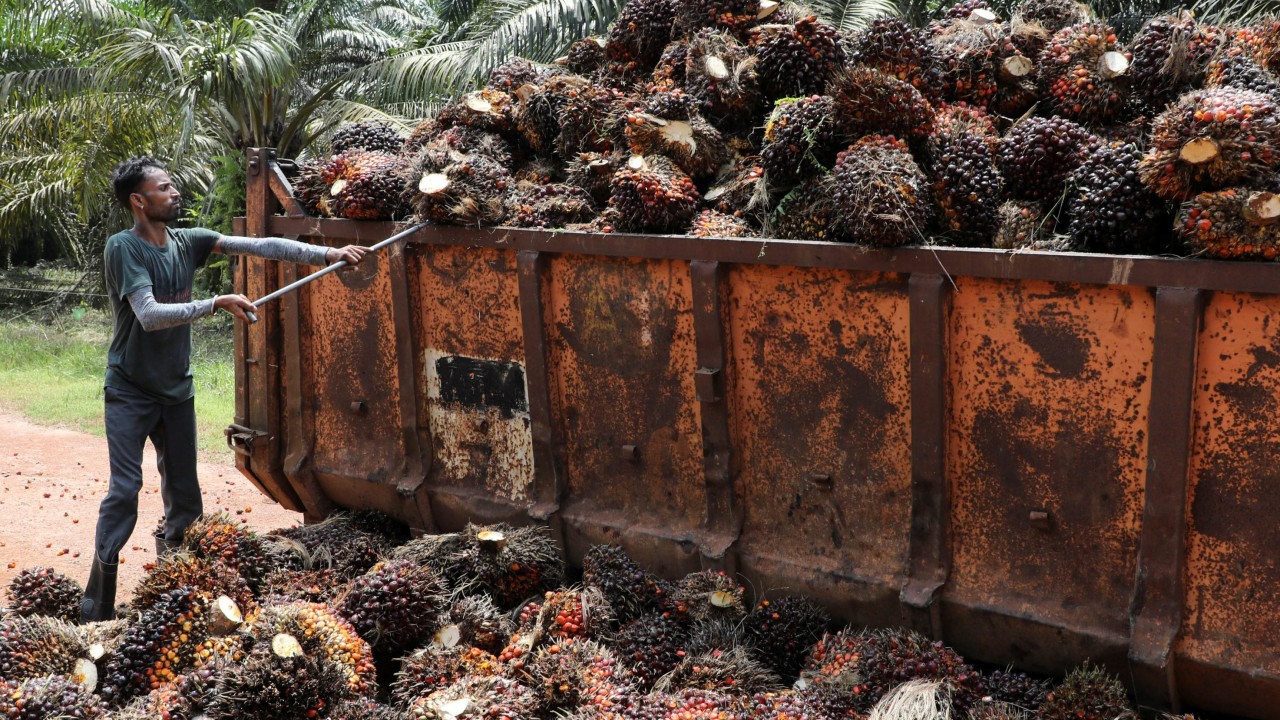 Malaysia eyes Africa for trade expansion as Trump’s tariffs loom