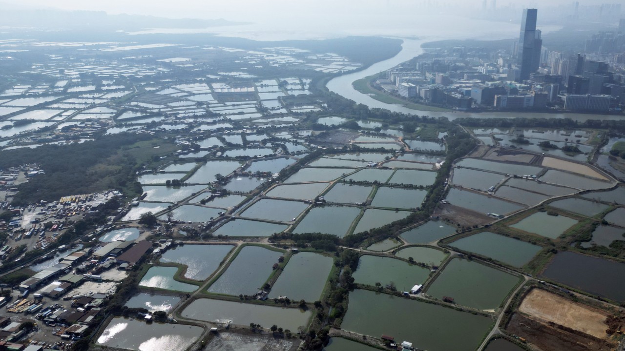 ‘Part of planned Hong Kong highway may encroach on wetlands, affect wildlife’