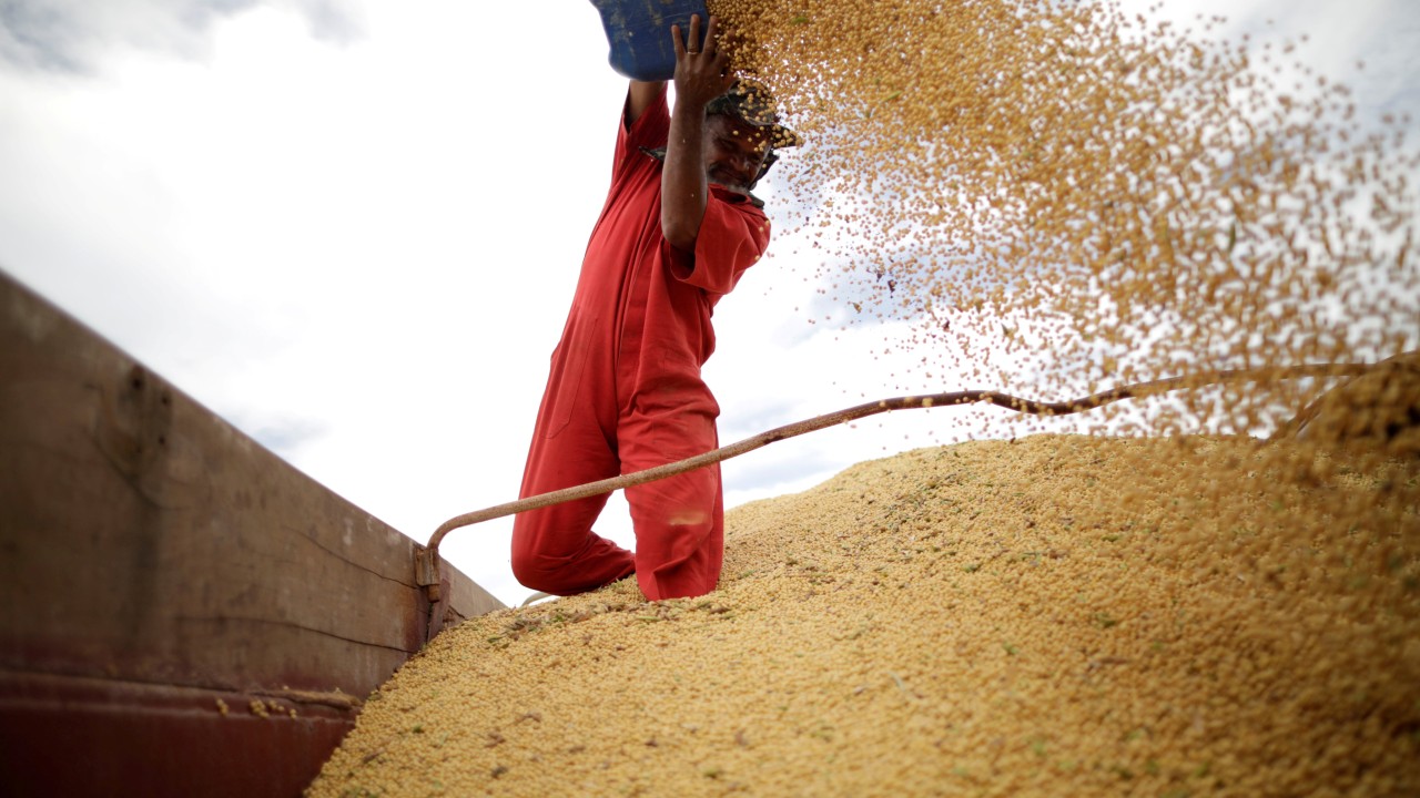 US farmers’ loss is Brazil’s gain as China diversifies soybean imports