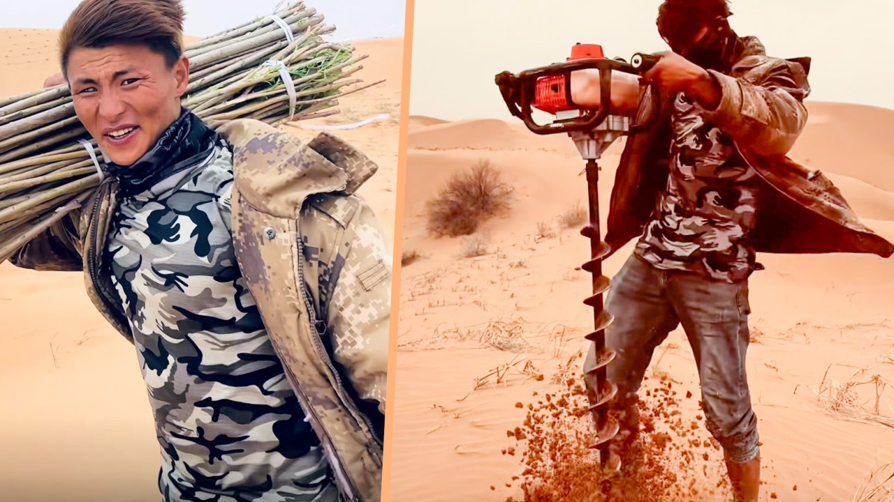 ‘Desert Prince’ combats desertification in China by planting trees in arid regions