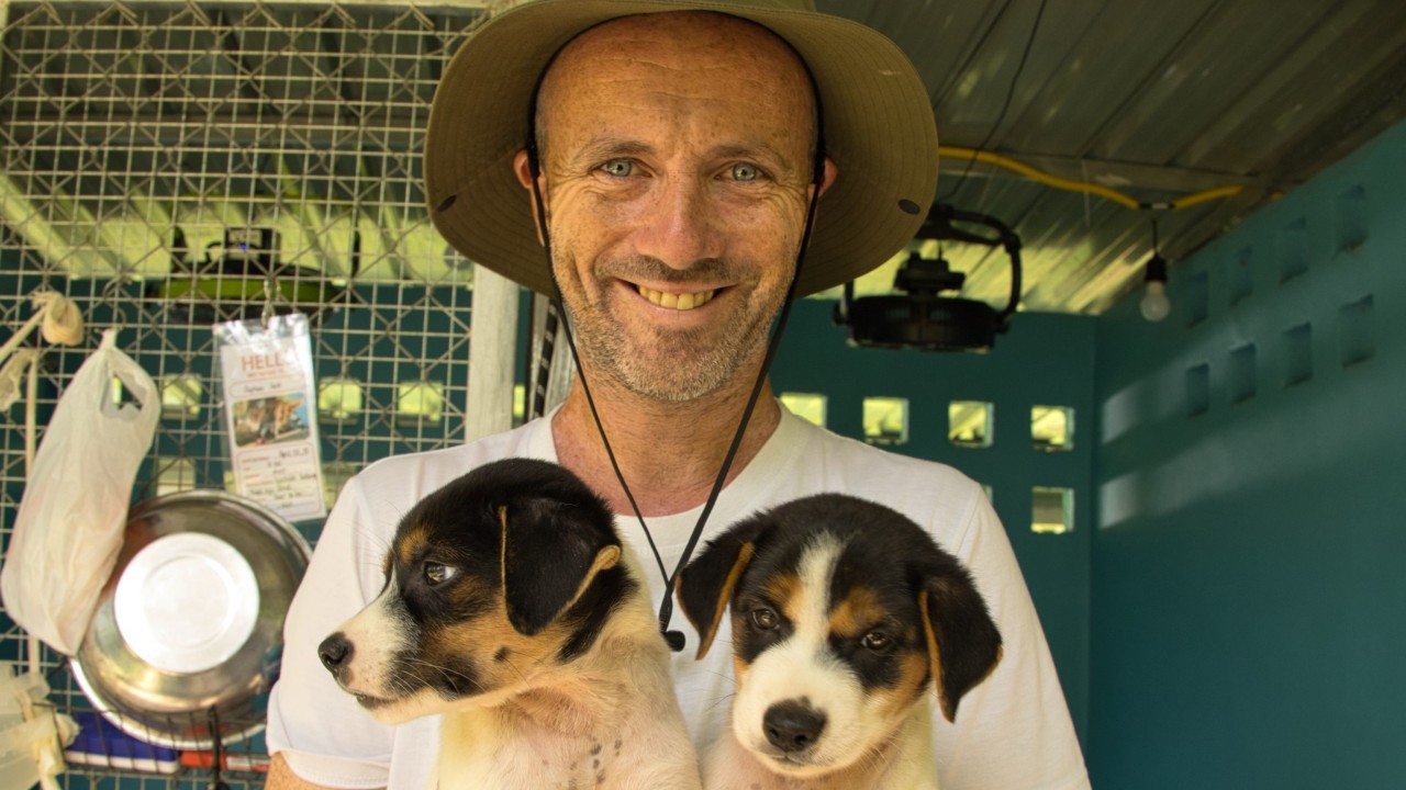 The Irish man who turned dog days on Koh Samui into a rescue story to reduce Thailand’s strays