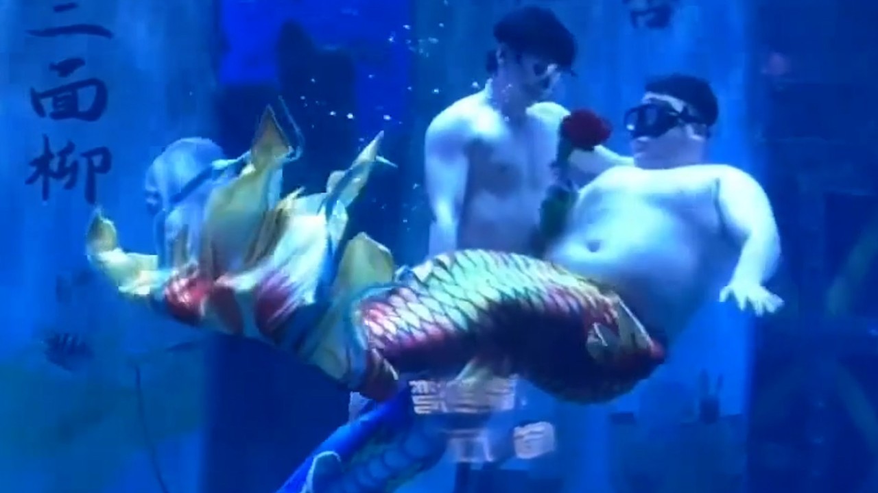 ‘Chubby mermen’ take over aquarium in China