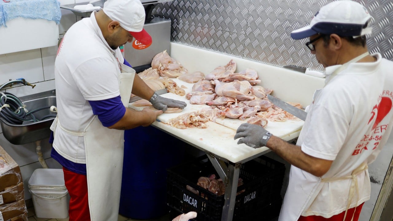 Brazil urges China to limit chicken import ban to city with bird flu outbreak