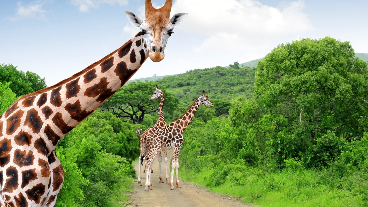 French Lamarckism beats Darwinism in China’s groundbreaking study on evolution