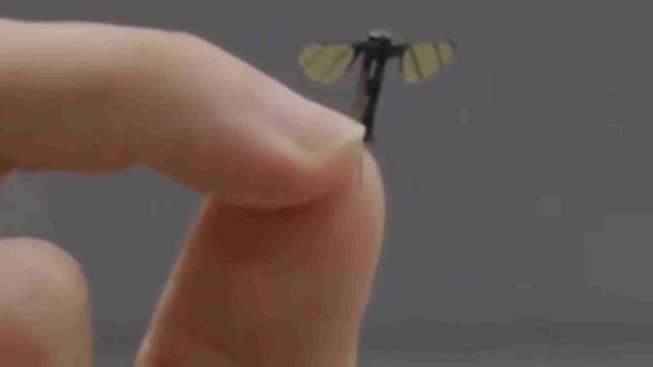 Chinese military lab creates mosquito-sized microdrone for covert operations
