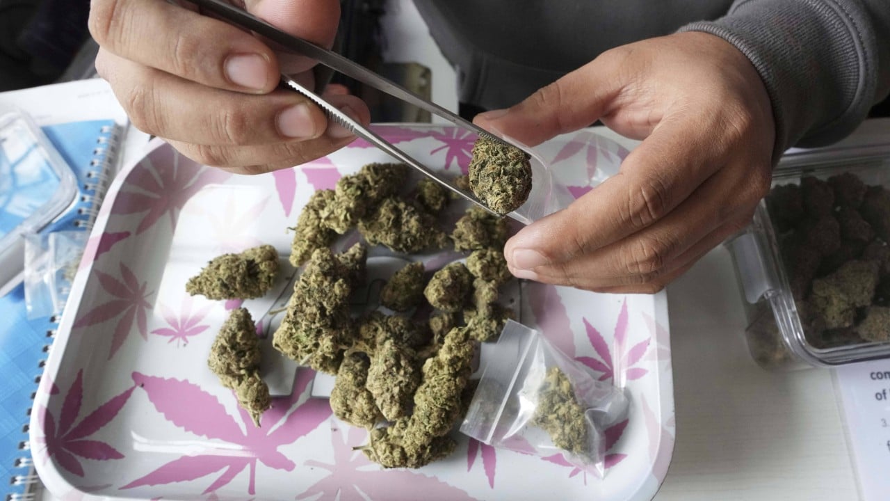 Thailand’s doctors have to show cannabis use for medical reasons in new form