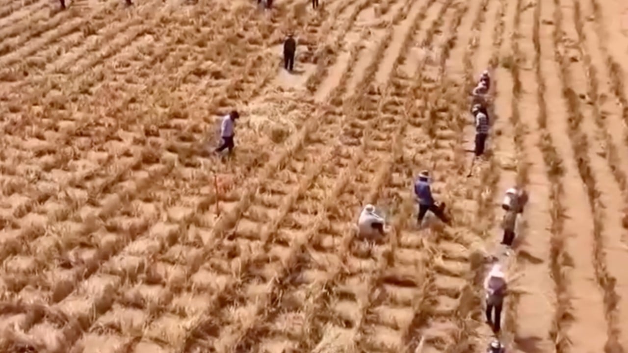 China’s ‘green great wall’ in Inner Mongolia traps three more deserts