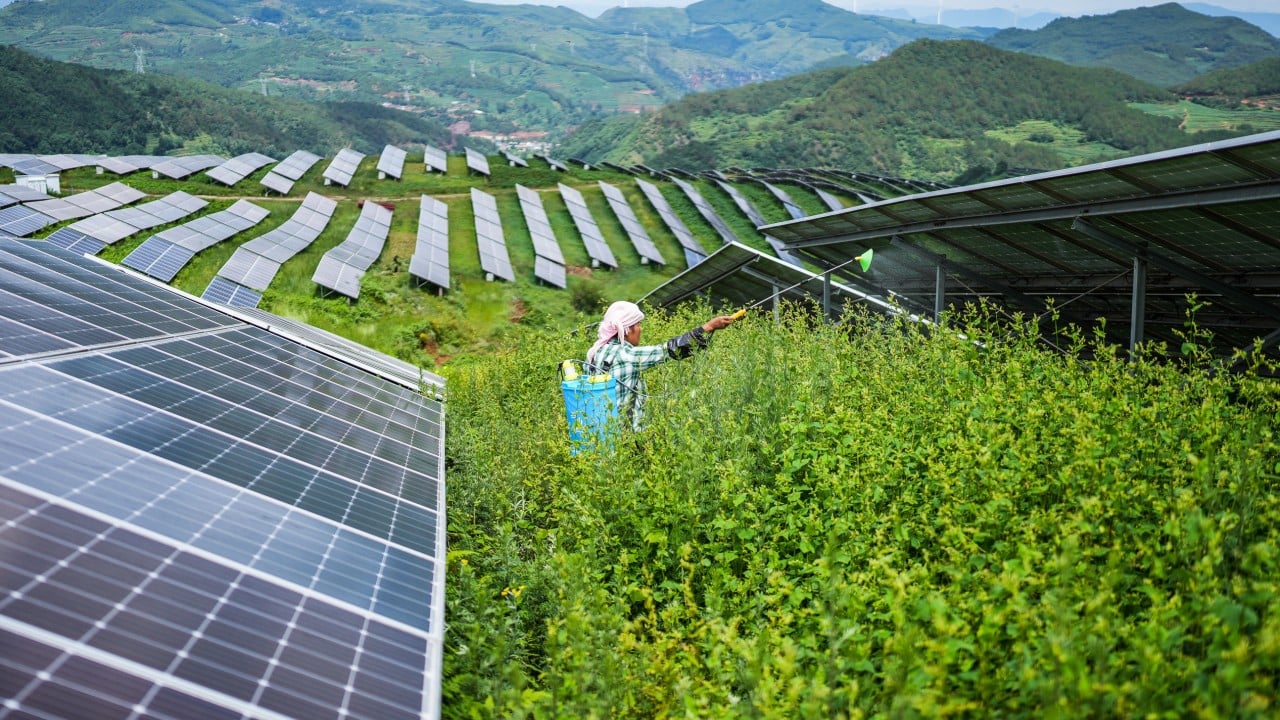 Clean and green: China’s strategic energy investments fuel renewable sector