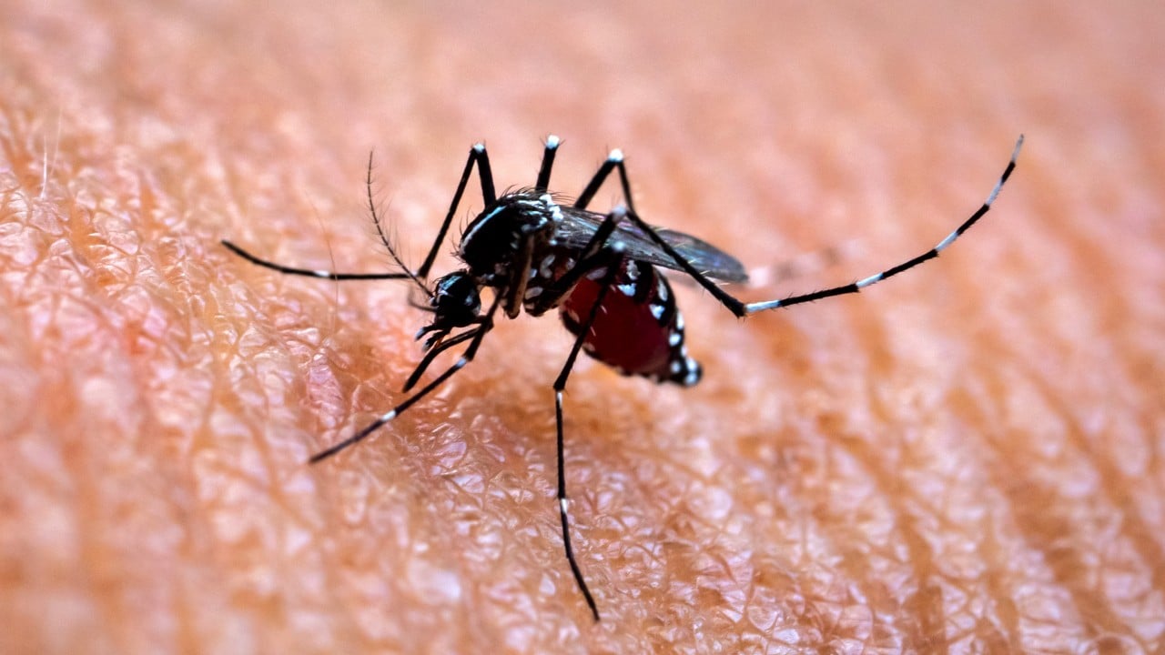 Chikungunya Infects Nearly 2,000 Across Foshan Districts, Triggering Emergency Response
