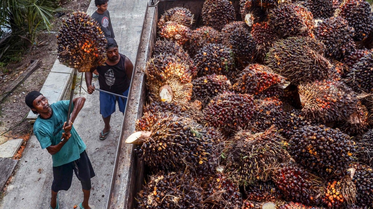 India, Indonesia Sign Palm Oil Pact Boosting Exports, Food Security