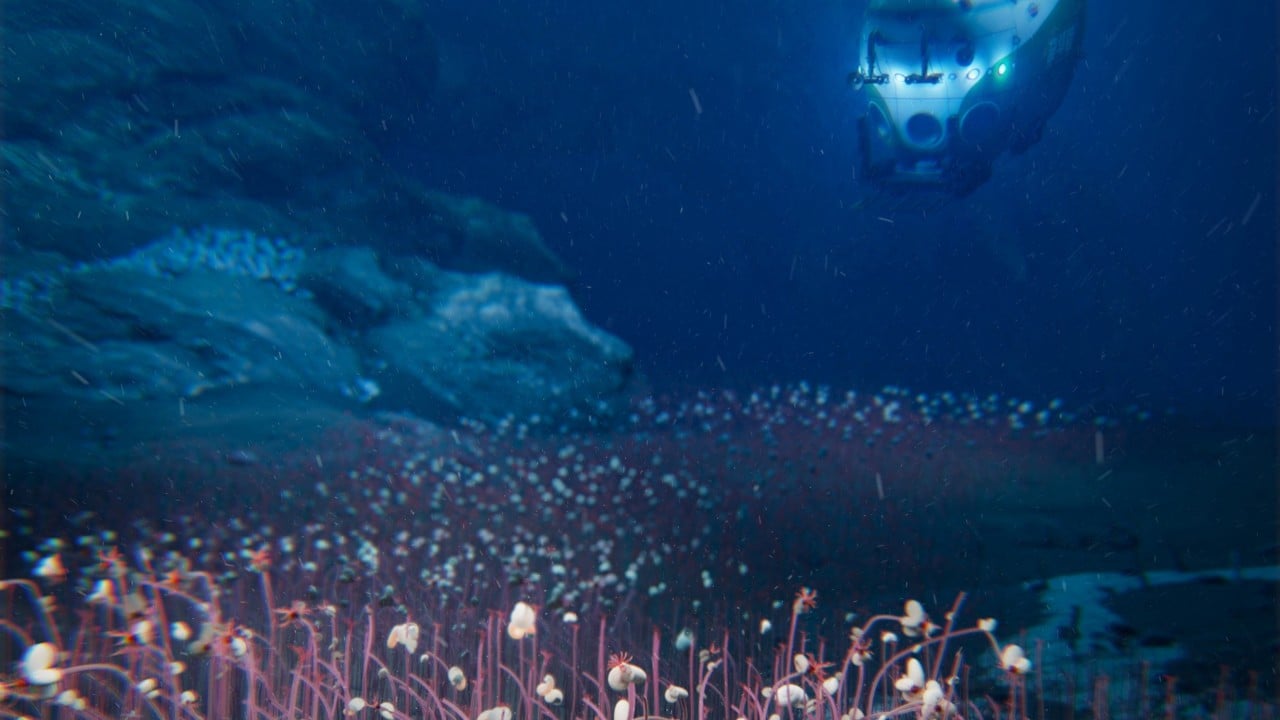 ‘Extreme limits’: China-led mission discovers Earth’s deepest animal oasis