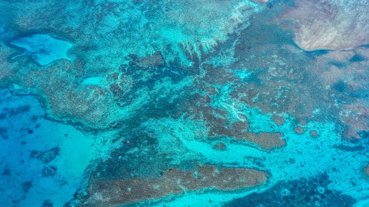 What Scarborough nature reserve plan means for South China Sea