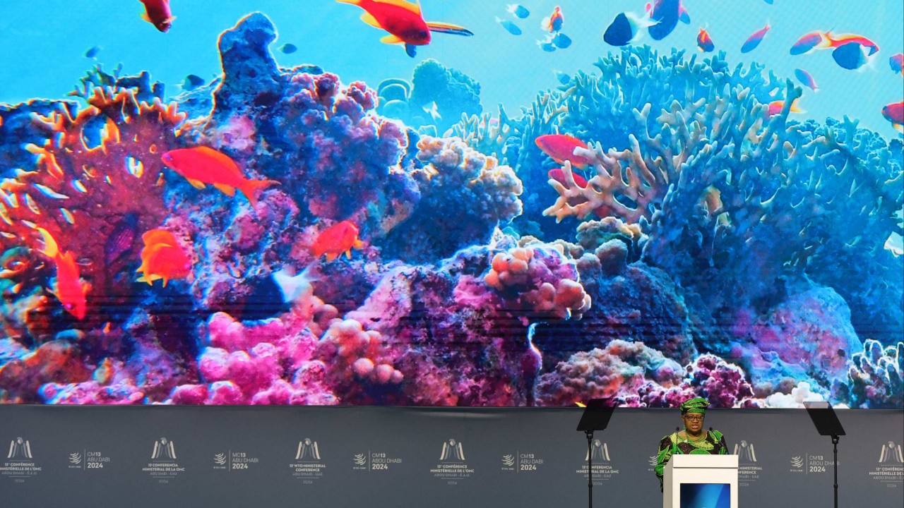 Trump has the megaphone but WTO deal shows multilateralism not dead