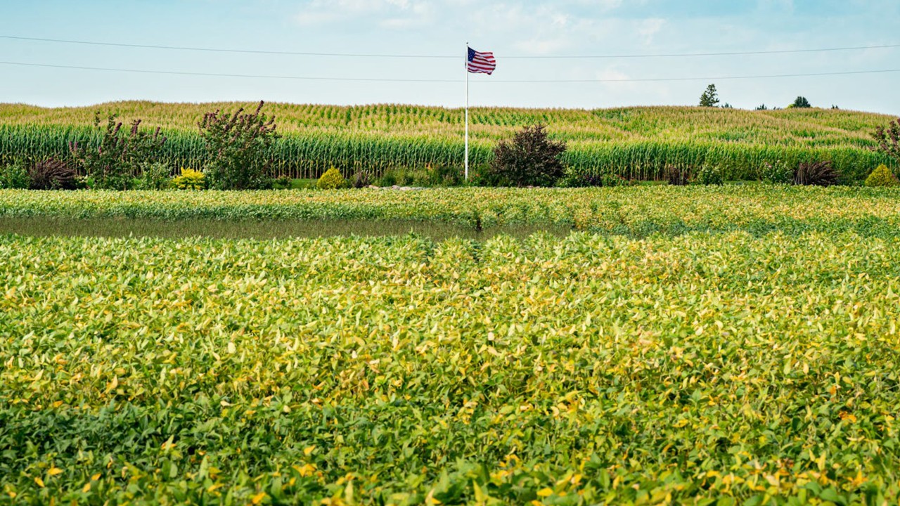 Kitajska uvaja pristaniške pristojbine za ameriške ladje kot povračilni ukrep
