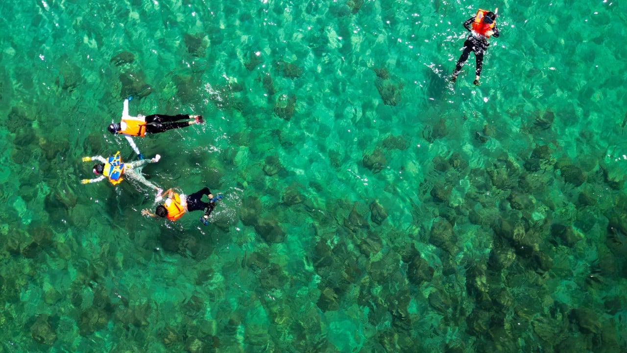 Better public awareness of coral will help preserve our natural bounty