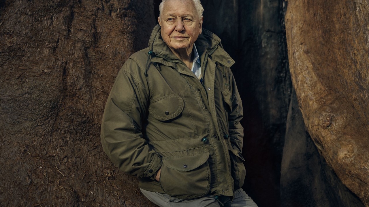 David Attenborough pri 99 letih postal najstarejši dobitnik nagrade Emmy