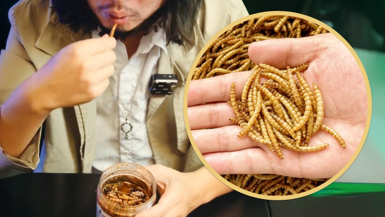 China youth share frugality hacks online, say bread worms are cheap, protein-rich