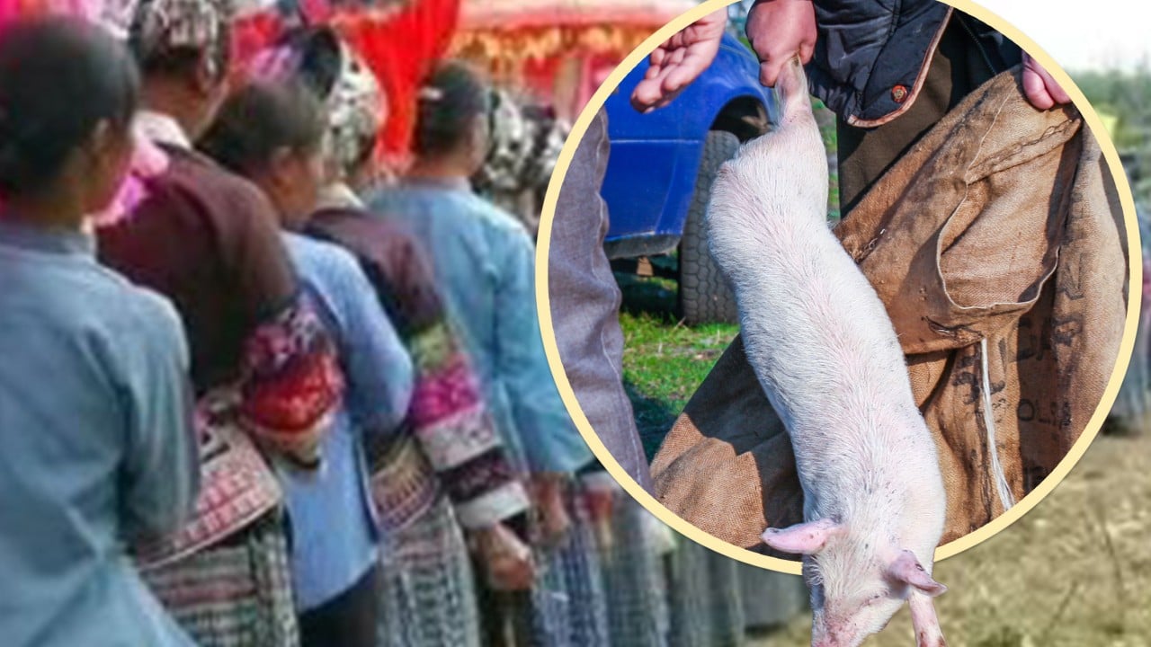 Why China’s Bouyei ethnic group funerals include ritual ‘stealing’ of a pig