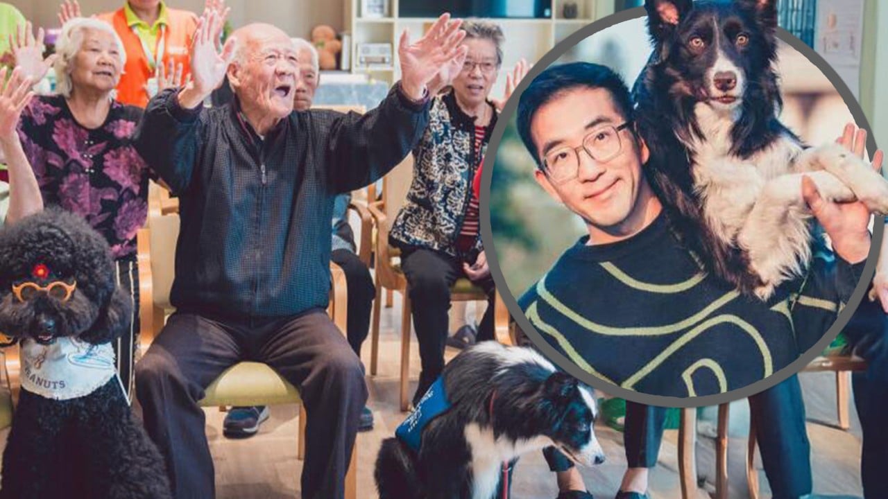 Chinese man quits ‘great job’ to provide therapy dogs which help autistic, depressed people