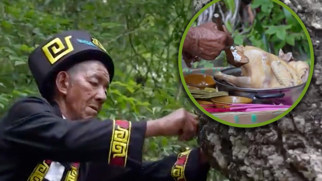 China Gelao ethnic group performs ‘tree-feeding’ ritual to pray for good harvest