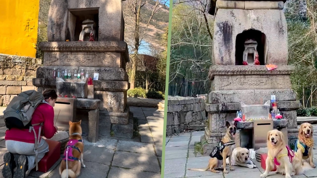 China pet owners honour Dog God, offer food, bless by placing leashes in incense ashes