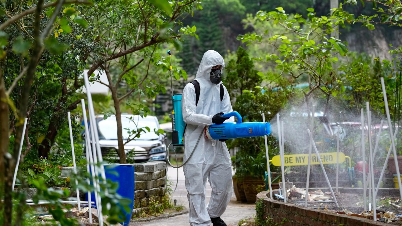 Hong Kong reports 2 imported chikungunya cases, bringing total to 54 this year
